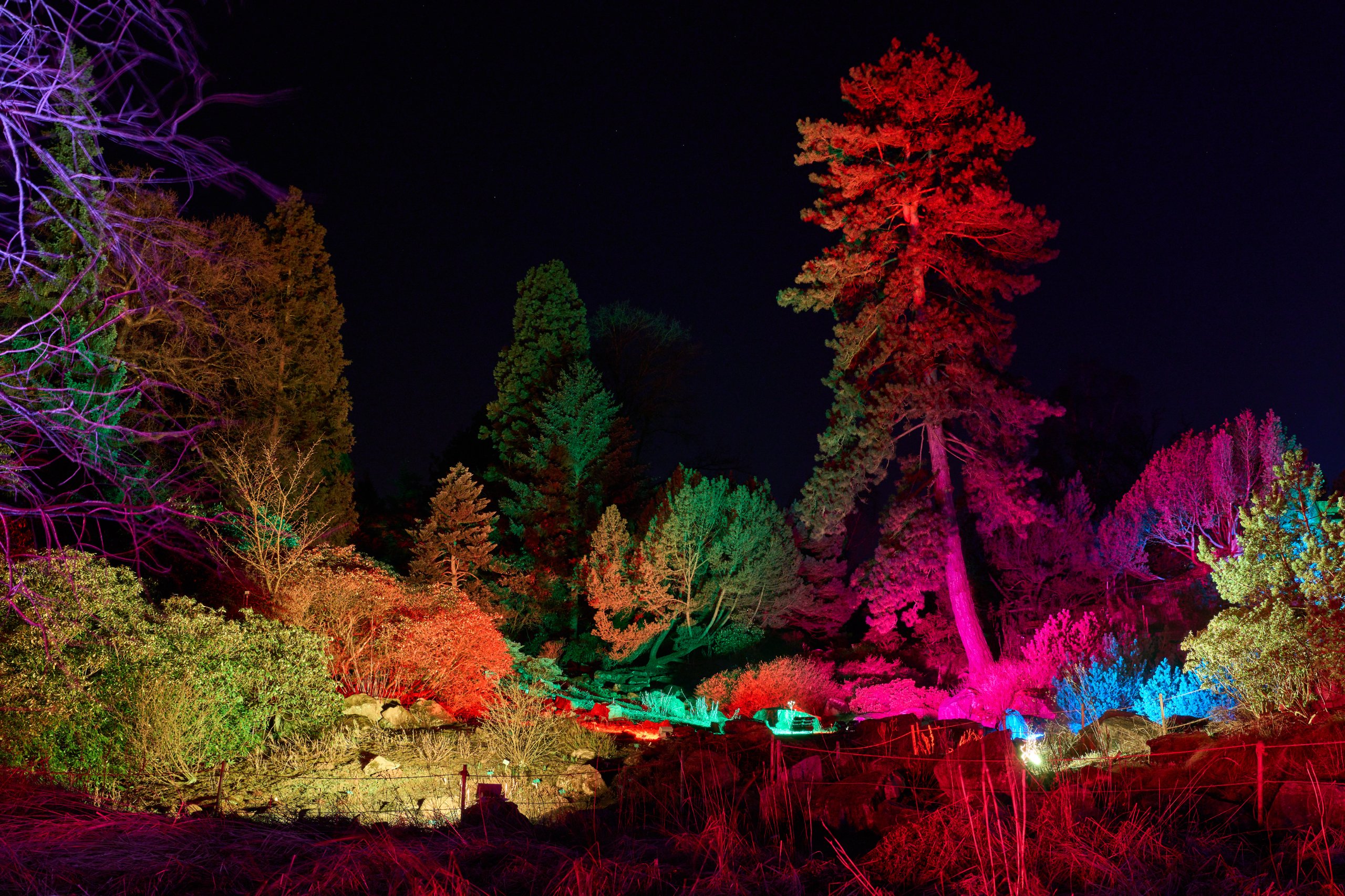 2025 02 04 Parkleuchten 0279